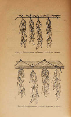 Новиков-Головатый М.А. Руководство по табаководству. М.: Новая деревня, 1926.